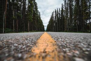 esvaziar estrada dentro alberta, Canadá - perfeito estrada viagem período de férias durante outono com colori árvores foto