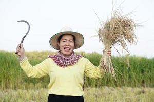 feliz agricultora asiática usa chapéu, tanga tailandesa, segura a foice para colher plantas de arroz no campo de arroz. conceito, ocupação agrícola, agricultor cultiva arroz orgânico. satisfeito. foto