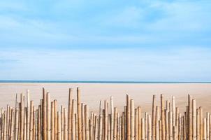 cana cerca bambu em esvaziar lindo de praia fundo foto