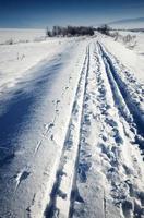 esqui cross-country em paisagem de neve foto