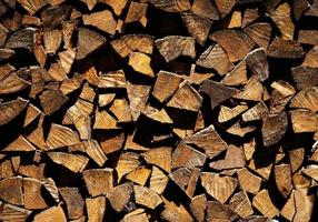 toras de madeira rústica foto