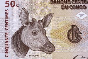 okapi uma retrato a partir de velho congolês dinheiro foto