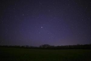 estrelado noite céu acima campo e floresta foto