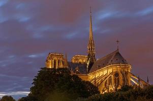 Visão em notre-dame de Paris catedral às noite foto