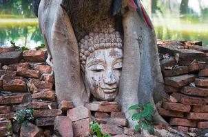 Buda cabeça dentro banyan árvore dentro arqueológico local norte Tailândia, tradição tailandês arte foto