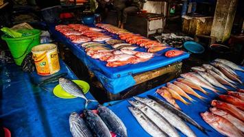 minahasa, Indonésia janeiro 2023, cru peixe dentro a tondano tradicional mercado foto