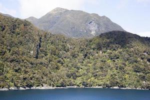 Fiordland nacional parque verde montanhas foto