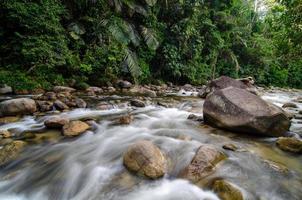 lento movimento água fluxo dentro a rio às sungai sedim foto