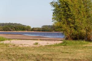 verão panorama em a bancos do a rio dentro a cidade do federação província do entre rios Argentina foto