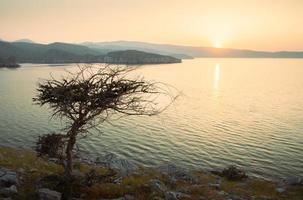 lindo ensolarado árido Omã panorama dentro persa golfo baía com turquesa mar água, merillas ilhas fundo. caminhada rotas e flora. foto