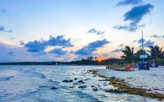 playa del carmen quintana roo México 2021 lindo pôr do sol tarde às de praia costa com mar erva daninha México. foto