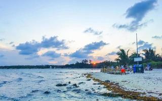 playa del carmen quintana roo México 2021 lindo pôr do sol tarde às de praia costa com mar erva daninha México. foto