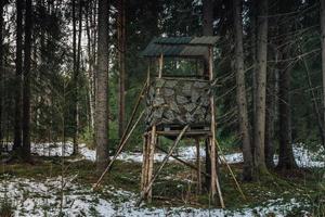 torre de caça em pé em uma floresta foto
