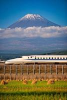 mt. Fuji com shinkansen trem e arroz campo às shizuoka, Japão. foto