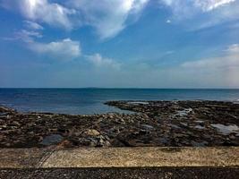 uma Visão do pássaros em Farne ilhas foto