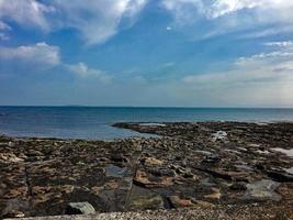 uma Visão do pássaros em Farne ilhas foto