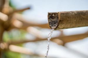 fonte de bambu com água foto