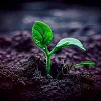 a crescimento do uma Novo plantar dentro a solo do a terra, de Meio Ambiente Cuidado, verde energia - ai gerado imagem foto