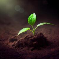 a crescimento do uma Novo plantar dentro a solo do a terra, de Meio Ambiente Cuidado, verde energia - ai gerado imagem foto