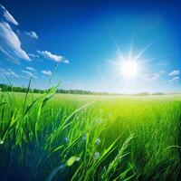 brilhante Sol brilha em verde manhã gramíneo Prado, brilhante azul céu - ai gerado imagem foto