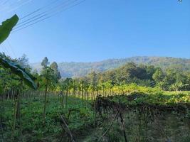 surpreendente montanhas do alikodom Vila foto