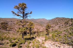 paisagem cênica montanha foto