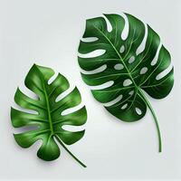 folhas do tropical sempre-verde monstera plantar em luz fundo - ai gerado imagem foto