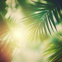 borrão lindo natureza verde Palma folha em tropical de praia com bokeh Sol luz flare onda abstrato fundo. verão período de férias e o negócio viagem conceito espaço - ai gerado imagem foto