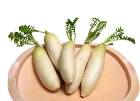 branco rabanete ou daikon isolado dentro branco fundo foto