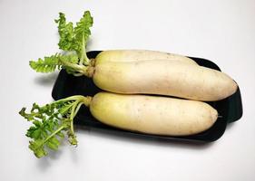 branco rabanete ou daikon isolado dentro branco fundo foto