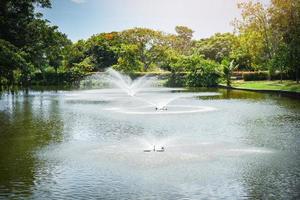 fonte jardim dentro a água lagoa verde parque foto