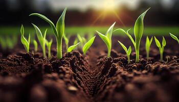 generativo ai, jovem plantar crescendo dentro luz solar a partir de a chão, macro fotorrealista ilustração, agrícola vegetal. natureza orgânico saudável Fazenda Comida conceito, horizontal bandeira. foto