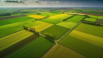 generativo ai, Fazenda paisagem, agrícola Campos, lindo interior, país estrada. natureza ilustração, fotorrealista topo Visão drone, horizontal bandeira. foto