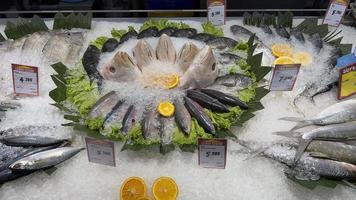 grande quantidade do fresco peixe dentro a supermercado foto