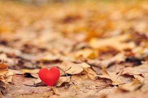 paixão ou conceito de amor romântico não correspondido. foto