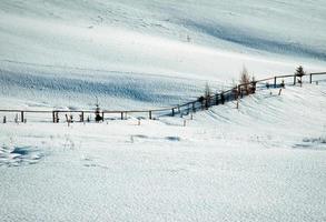 prado nevado com cerca foto