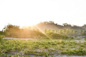 paisagem cênica montanha foto