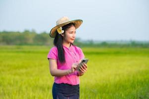 ásia fêmea agricultor segurando tábua caminhando dentro arroz campo para loja em formação foto