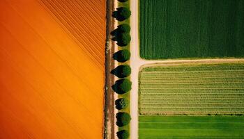 generativo ai, Fazenda paisagem, agrícola Campos, lindo interior, país estrada. natureza ilustração, fotorrealista topo Visão drone, horizontal bandeira. foto