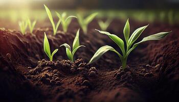 generativo ai, jovem plantar crescendo dentro luz solar a partir de a chão, macro fotorrealista ilustração, agrícola vegetal. natureza orgânico saudável Fazenda Comida conceito, horizontal bandeira. foto