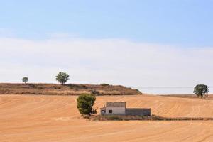 casa em a terras agrícolas foto