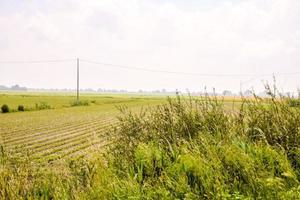 cênico rural panorama foto