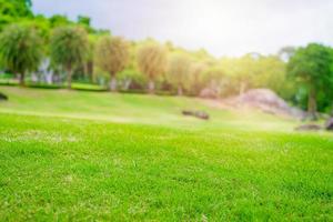 grama verde focada no jardim do campo de golfe foto