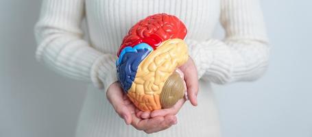 mulher segurando humano cérebro modelo. mundo cérebro tumor dia, cérebro AVC, demência, Alzheimer, Parkinson e mundo mental saúde conceito foto