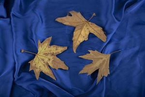 folhas secas colocadas em uma toalha de mesa azul foto