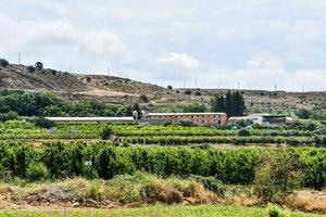 cênico rural panorama foto