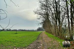 cênico rural panorama foto