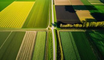 generativo ai, Fazenda paisagem, agrícola Campos, lindo interior, país estrada. natureza ilustração, fotorrealista topo Visão drone, horizontal bandeira. foto