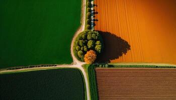 generativo ai, Fazenda paisagem, agrícola Campos, lindo interior, país estrada. natureza ilustração, fotorrealista topo Visão drone, horizontal bandeira. foto