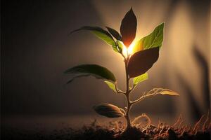 ai gerado uma plantar tiro alcançando para a luz solar. foto